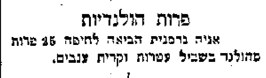 רפורמה? ייבוא פרות מחו