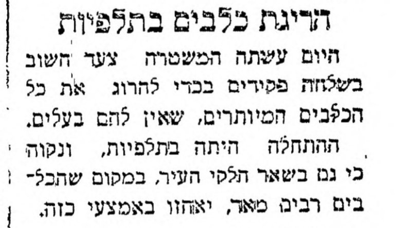 המשטרה הורגת כלבים בתלפיות!