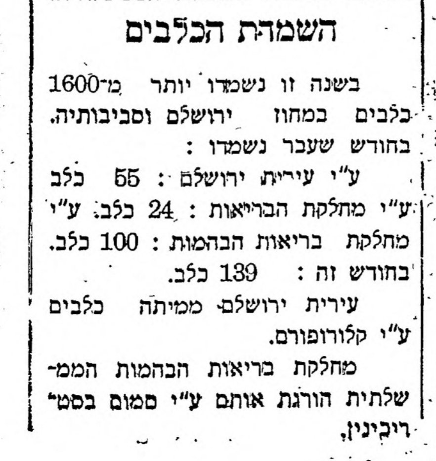 הושמדו יותר מ-1,600 כלבים במחוז ירושלים!