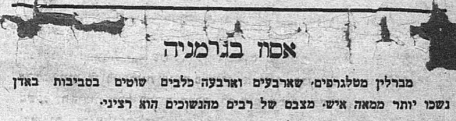 אסון בגרמניה! כלב נשך אדם!