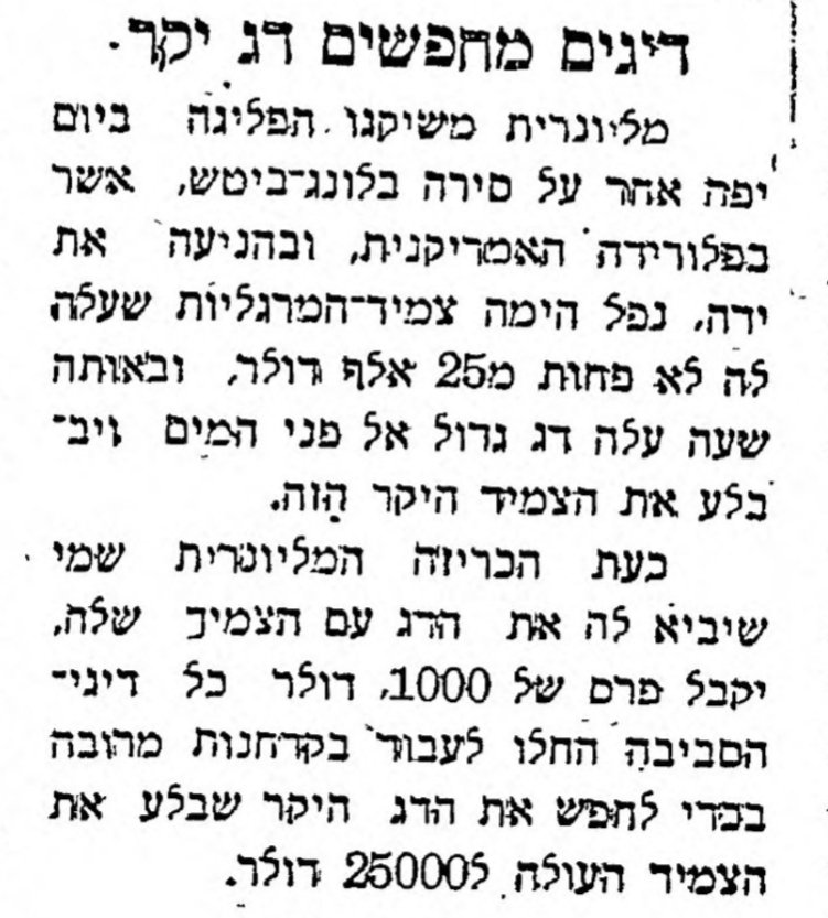 דייגים מחפשים דג יקר!