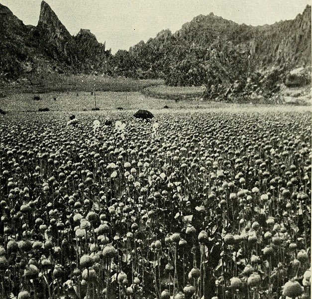 כלכלת פרס לקראת פגיעה משמעותית?