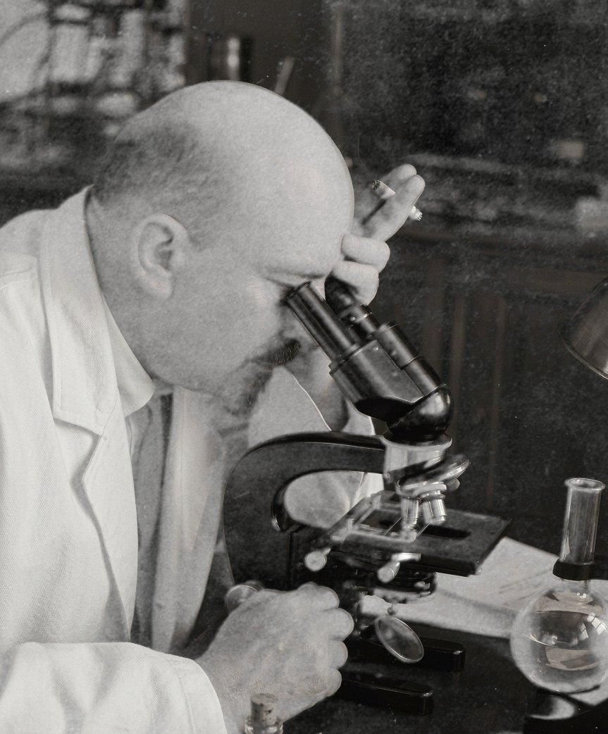 ניצחון מוחץ לד